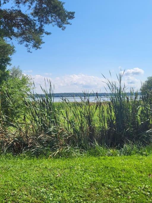 L'Oree Des Lacs, Maison De Village Tout Confort Radonvilliers Exterior foto